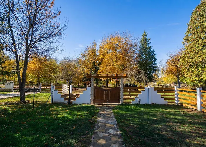 Non Stop 3 * Kaposvár