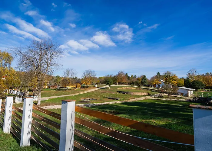 Non Stop 3 度假居